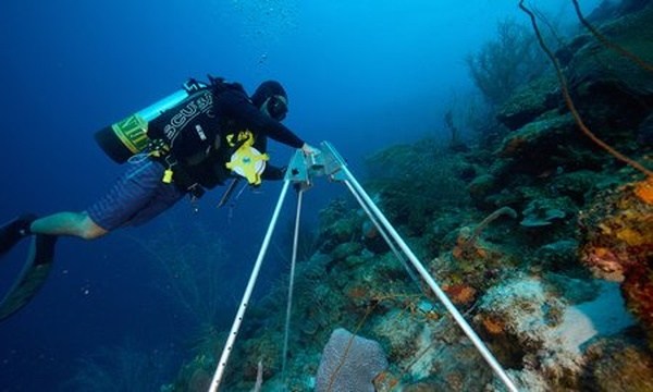 学制解析：新加坡莱佛士音乐学院学习期限全覆盖