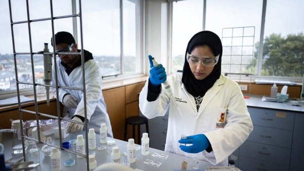 2026最新:新加坡莱佛士音乐学院学费是多少?详解花费细节