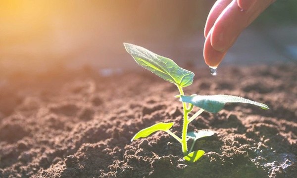 校园巡礼:新加坡莱佛士音乐学院校园建筑风貌介绍