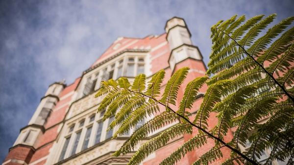 新加坡莱佛士音乐学院汇总：每个专业的亮点是什么？